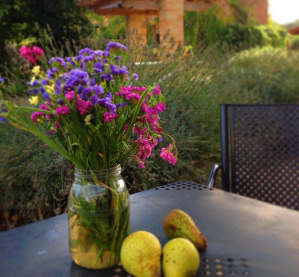 Agriturismo Pian Del Tevere تورجانو المظهر الخارجي الصورة