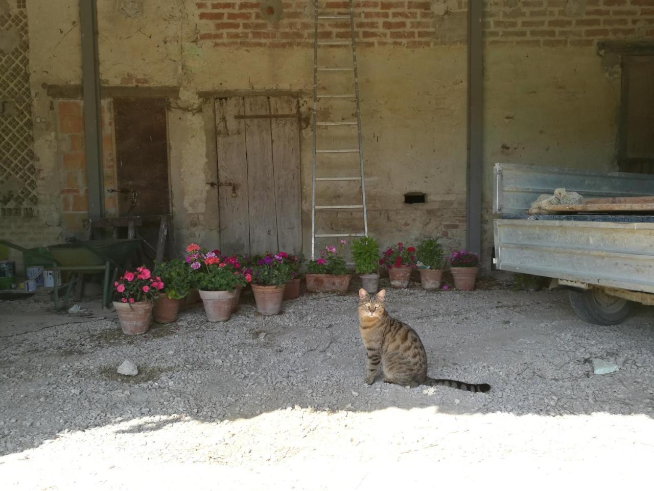Agriturismo Pian Del Tevere تورجانو المظهر الخارجي الصورة